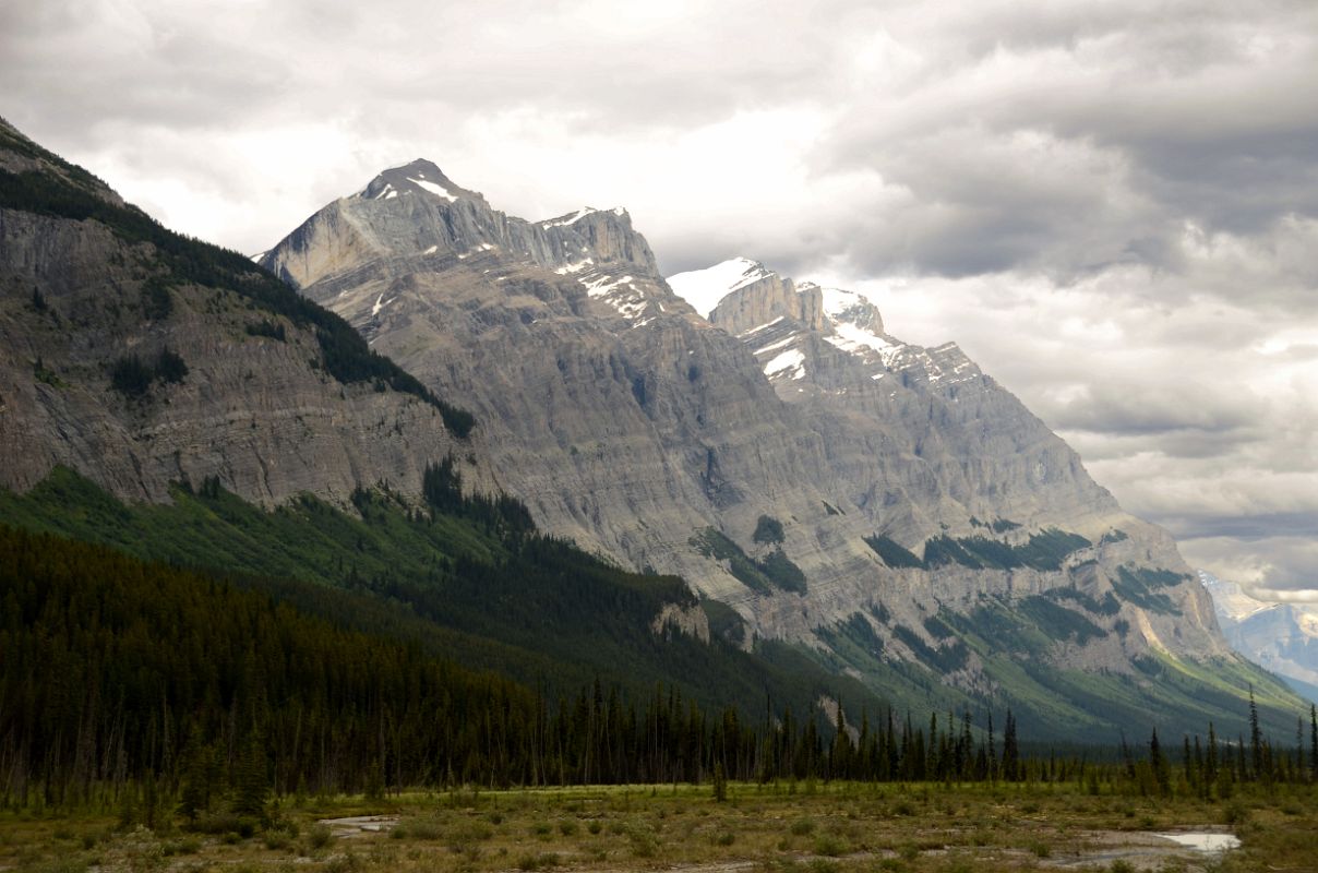 08-S Mount Wilson in Summer From Beyond Saskatchewan River Crossing On Icefields Parkway